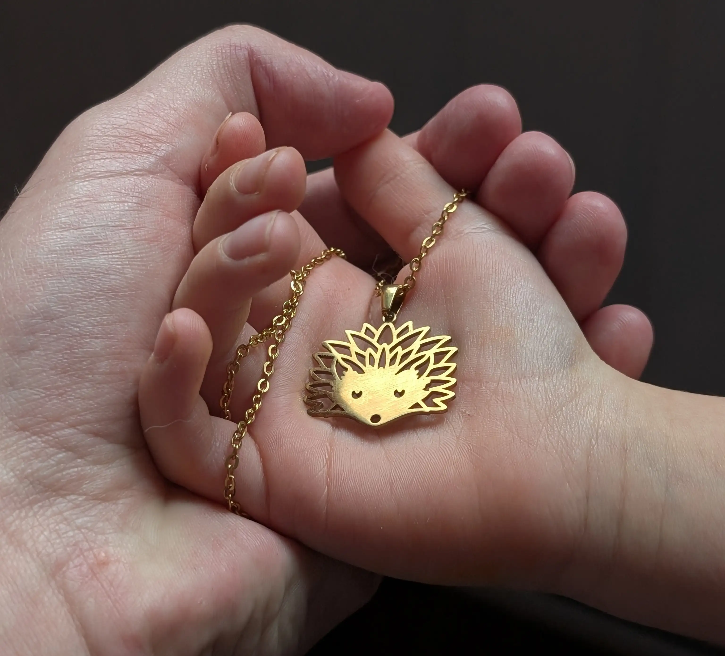 Collier Niglo en acier massif 316L